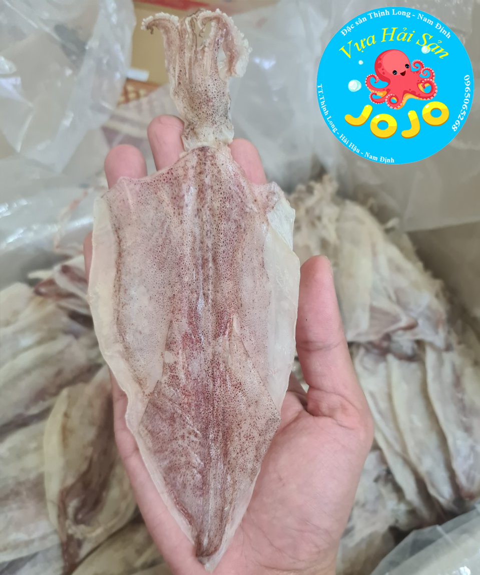 500Gr Khô Mực Thịnh Long Size Nhỏ (65-70 con/kg) - Mềm Và Ngọt - Đặc Sản Thịnh Long JoJo Seafood