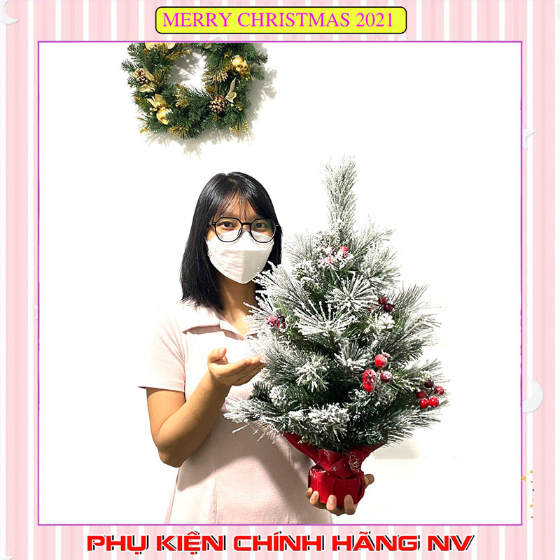Cây thông noel mini để bàn 60cm mẫu 3 loại lá phủ tuyết gắn trái đỏ trang trí giáng sinh hàng Việt Nam chất lượng cao