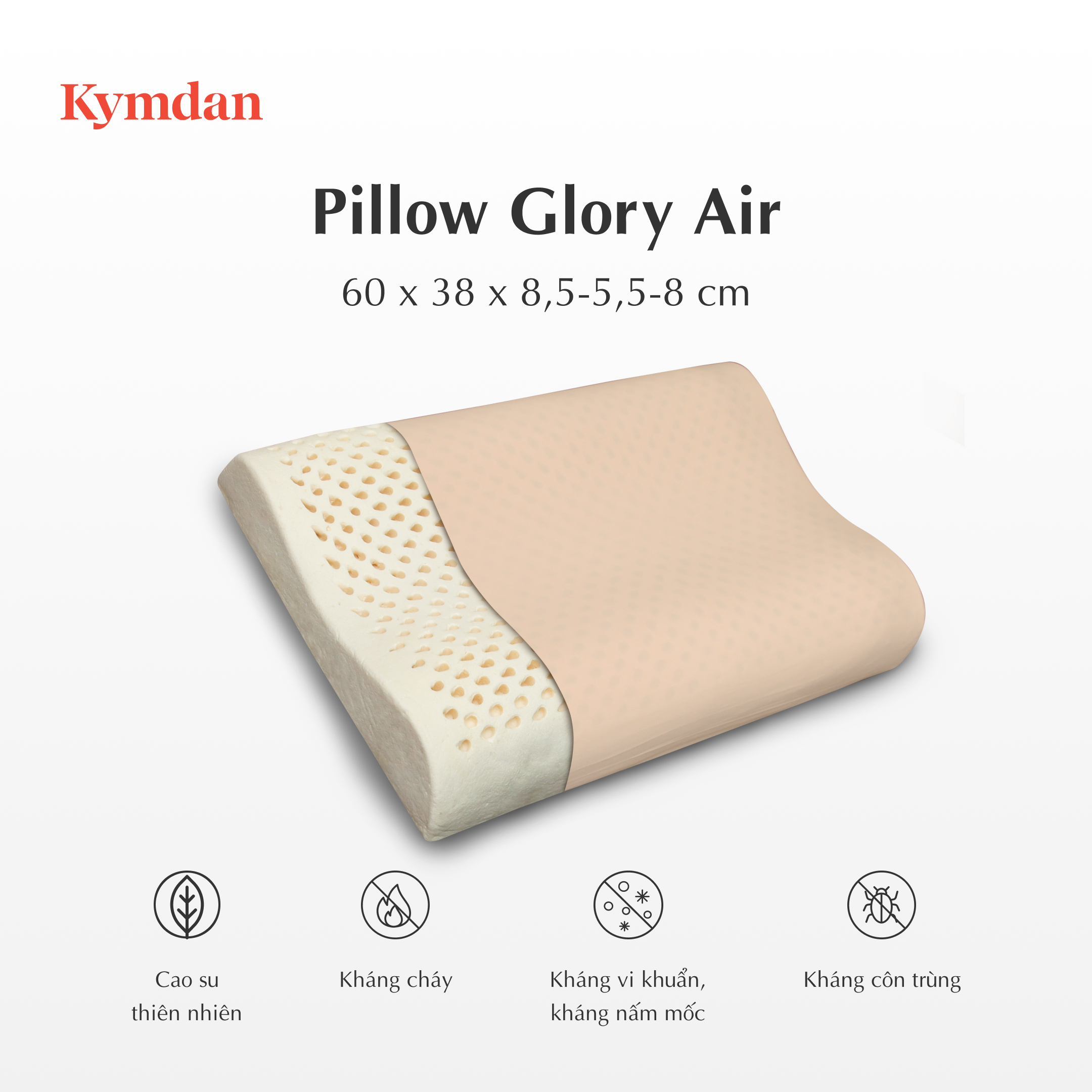 Gối cao su thiên nhiên Kymdan Pillow Glory Air 60 x 38 x 8,5 - 5,5 - 8 cm