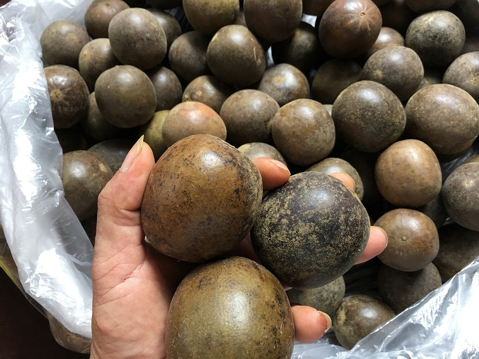 500g quả la hán - trà thảo lộc có tặng quà