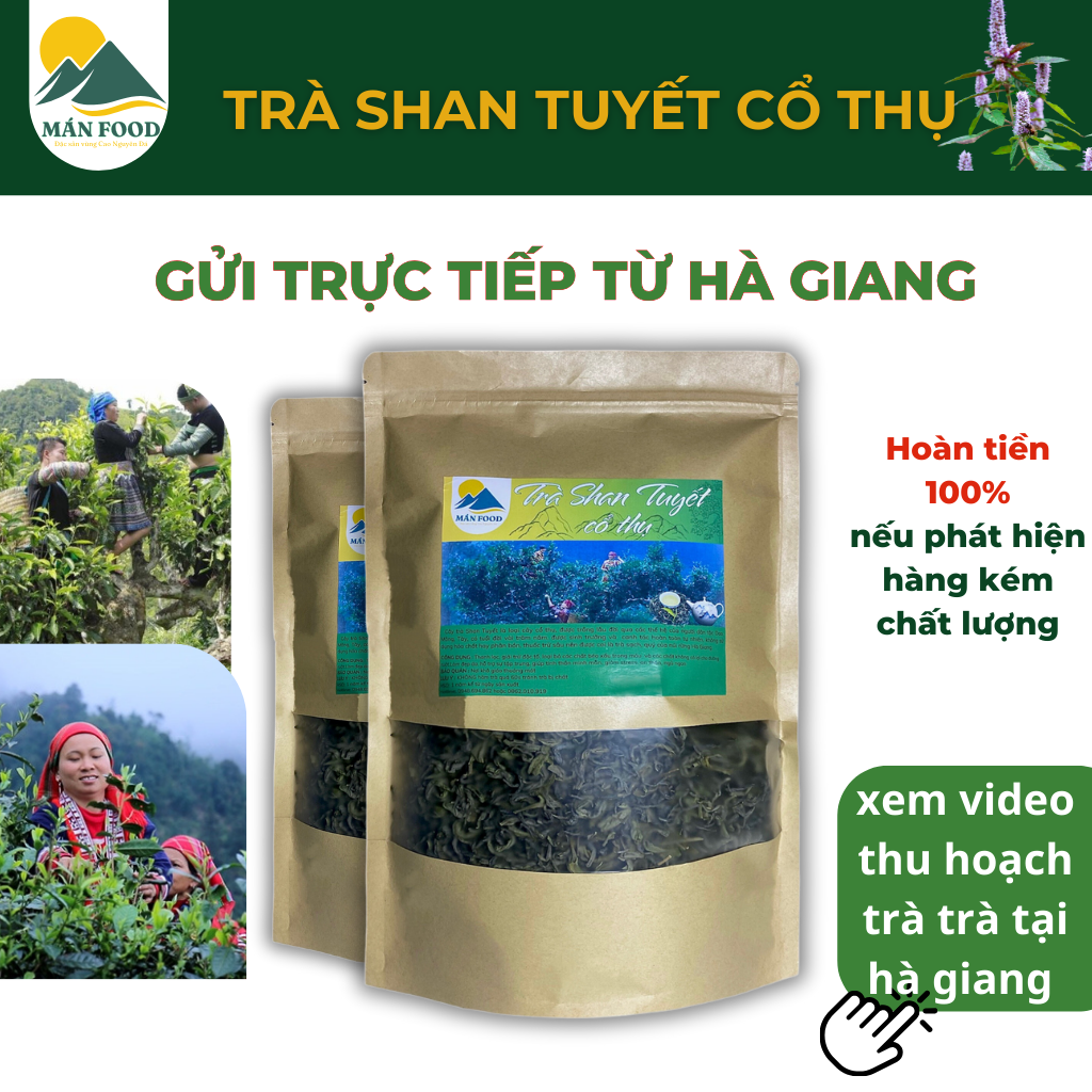 Trà shan tuyết cổ thụ Hà Giang gói 500g - Trà shan tuyến thơm ngon cao cấp ngọt hậu vị trà - Trà shan tuyết 1 tôm 2 lá - Trà đặc sản Hà Giang  -Lục trà shan tuyết - trà xanh - trà shang - giúp đào thải độc tố - Trà ngon