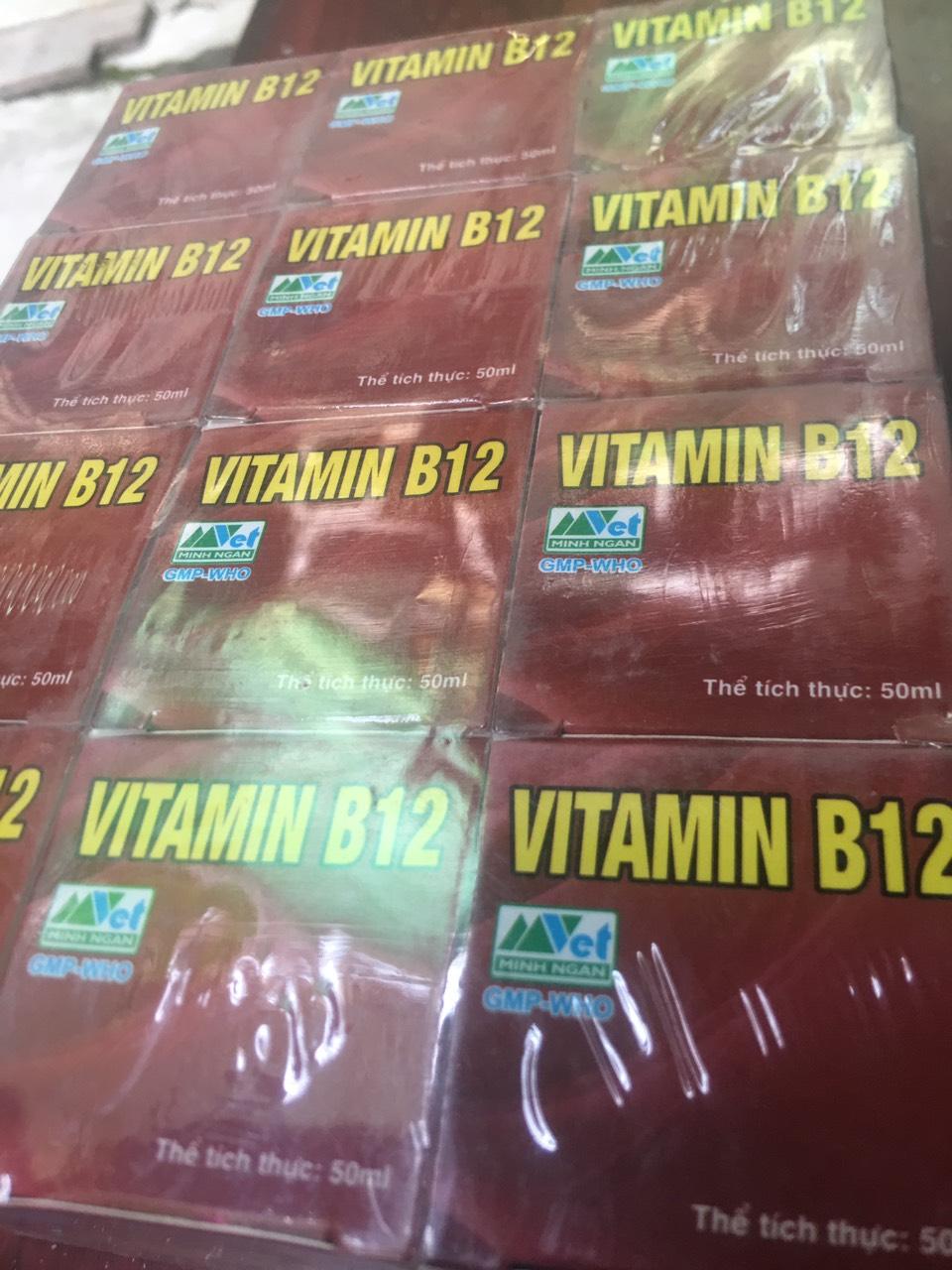 Giải độc cho lan bằng b12, chống sốc phân, không phun rễ 100ml