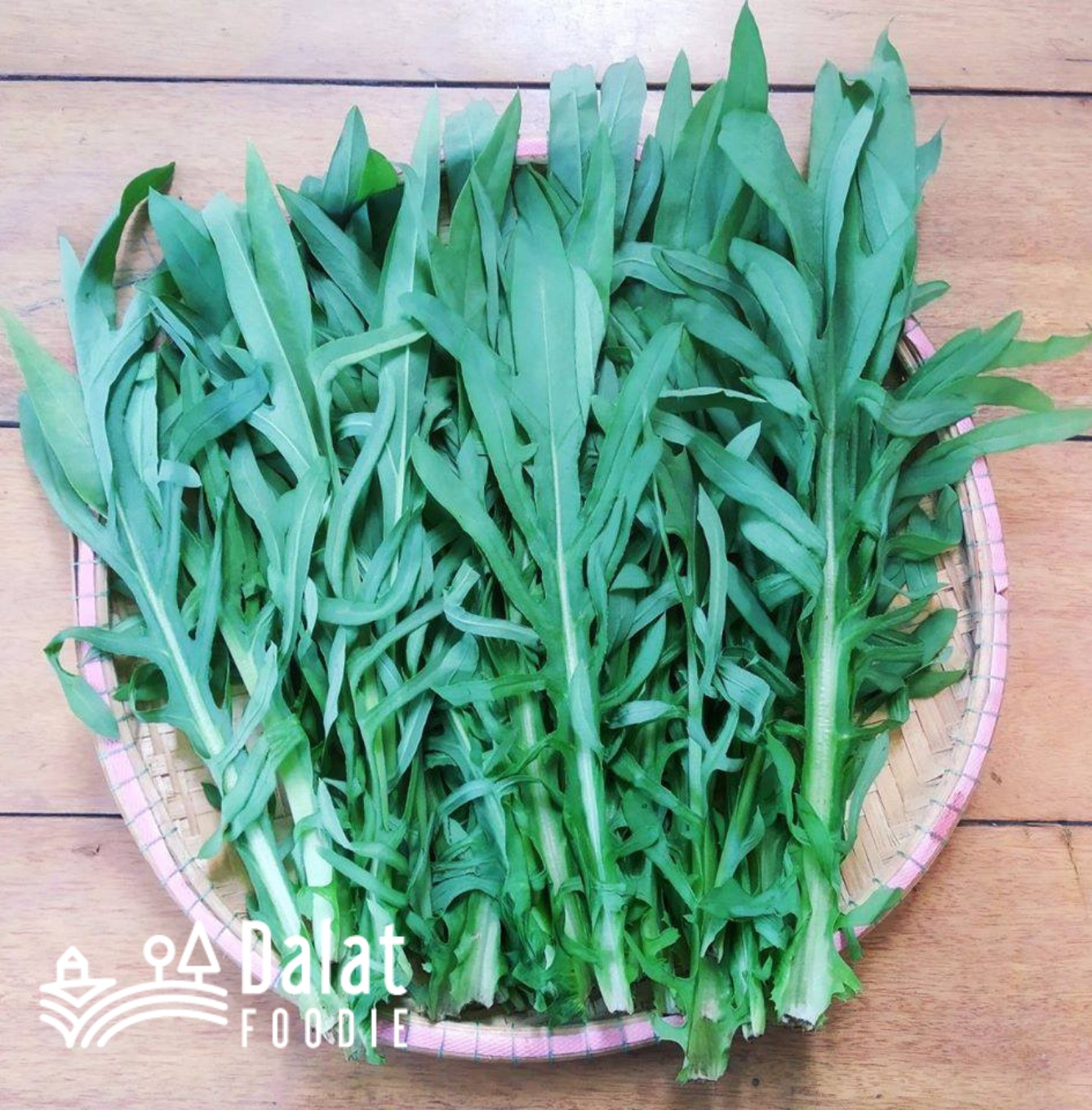 Bồ Công Anh Hữu Cơ 250g- [Giao hàng ngay tại TPHCM]
