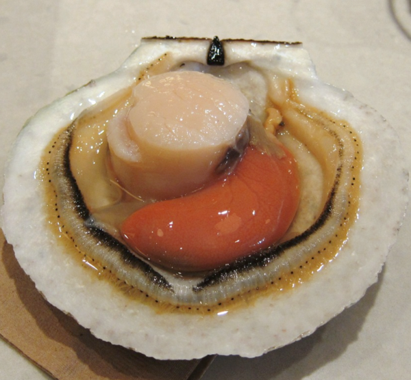 HCM - Sò Điệp Nhật nguyên con  1Kg