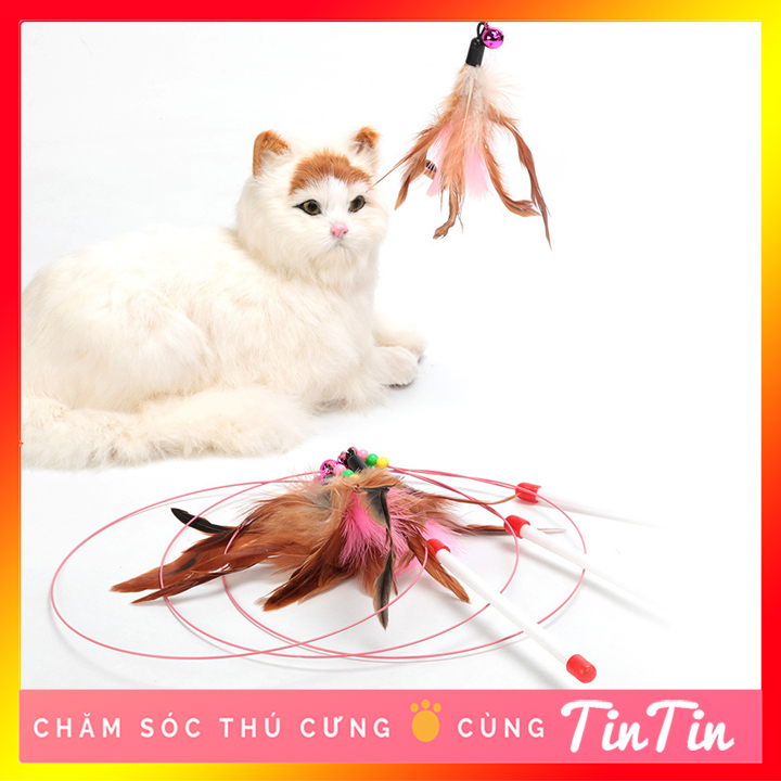 Đồ chơi cho mèo - Cần câu dây thép cho mèo vờn