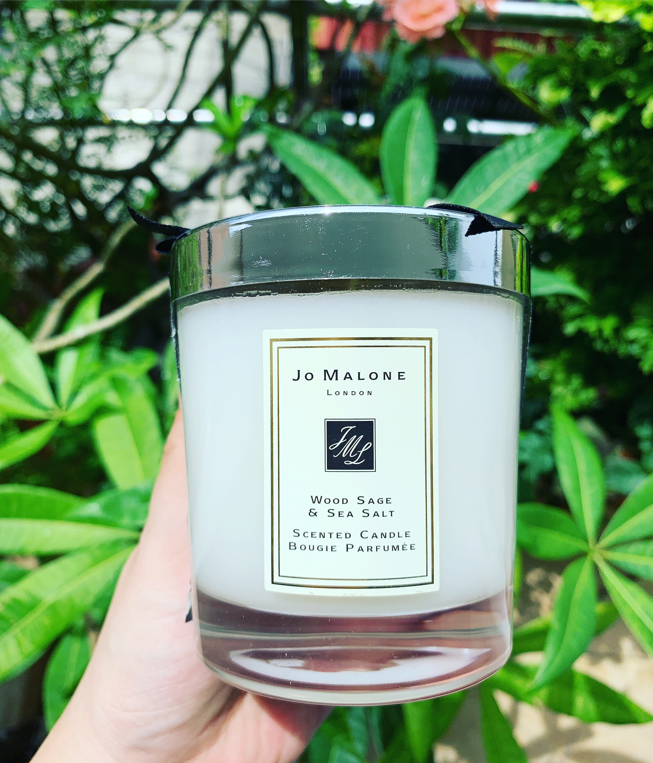 Nến thơm Jomalone Wood Sage & sea salt 200gr