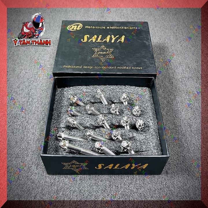 Bộ Ốc Lốc Máy Salaya Sirius Xăng Cơ 17 Con