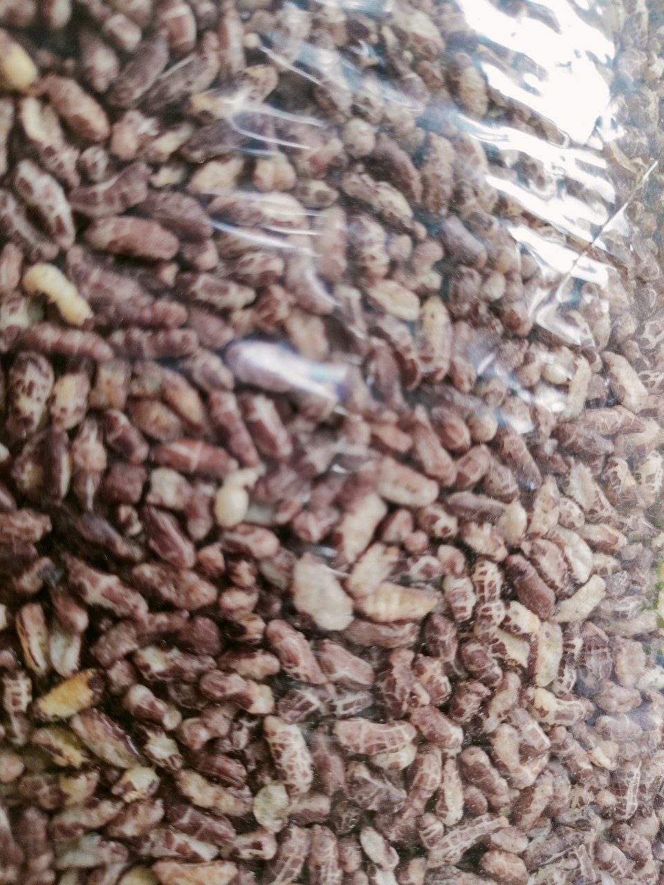 Cốm Gạo lứt rong biển chiên không dầu ít tinh bột đồ ăn vặt hỗ trợ giảm cân, giảm chỉ số t iểu đg c dứt t ê bì chân tay, yoga helthy keto eatclean mẹ bỉm sữa làm đẹp thẩm mỹ ca sĩ diễn viên Giám đốc ceo ăn chay Thực dươg