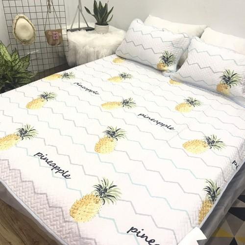 Chiếu điều hòa cao cấp Tencel 3D tặng kèm 2 vỏ gối