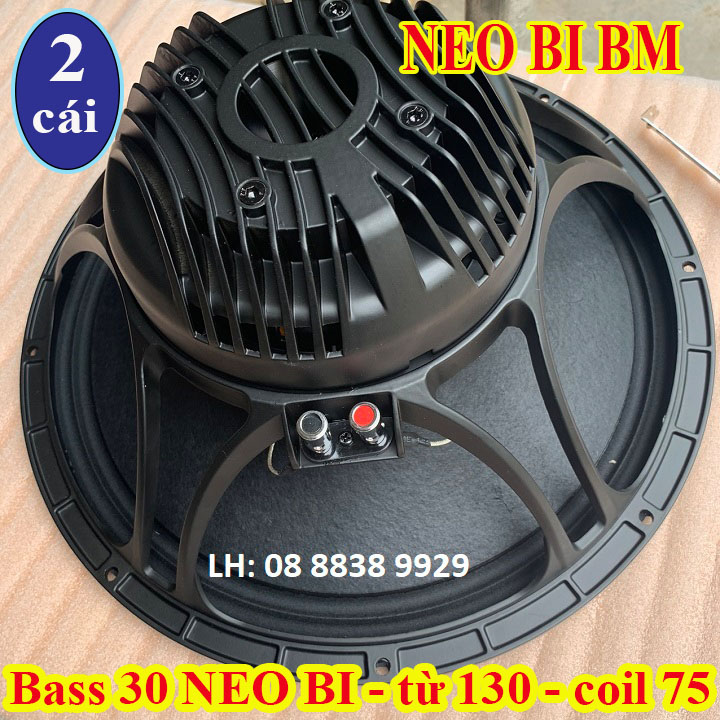 Cặp bass 30 neo bi bm từ 130 coil 75 cao cấp nhập khẩu - giá 2 loa