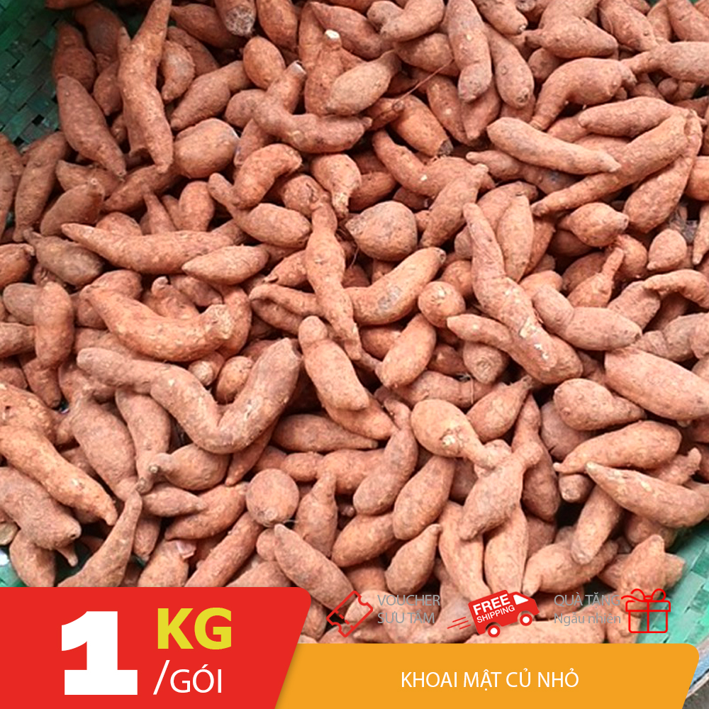 Túi 500gr Khoai lang Mật Tà Nùng Đà Lạt củ nhỏ vừa nhà nông