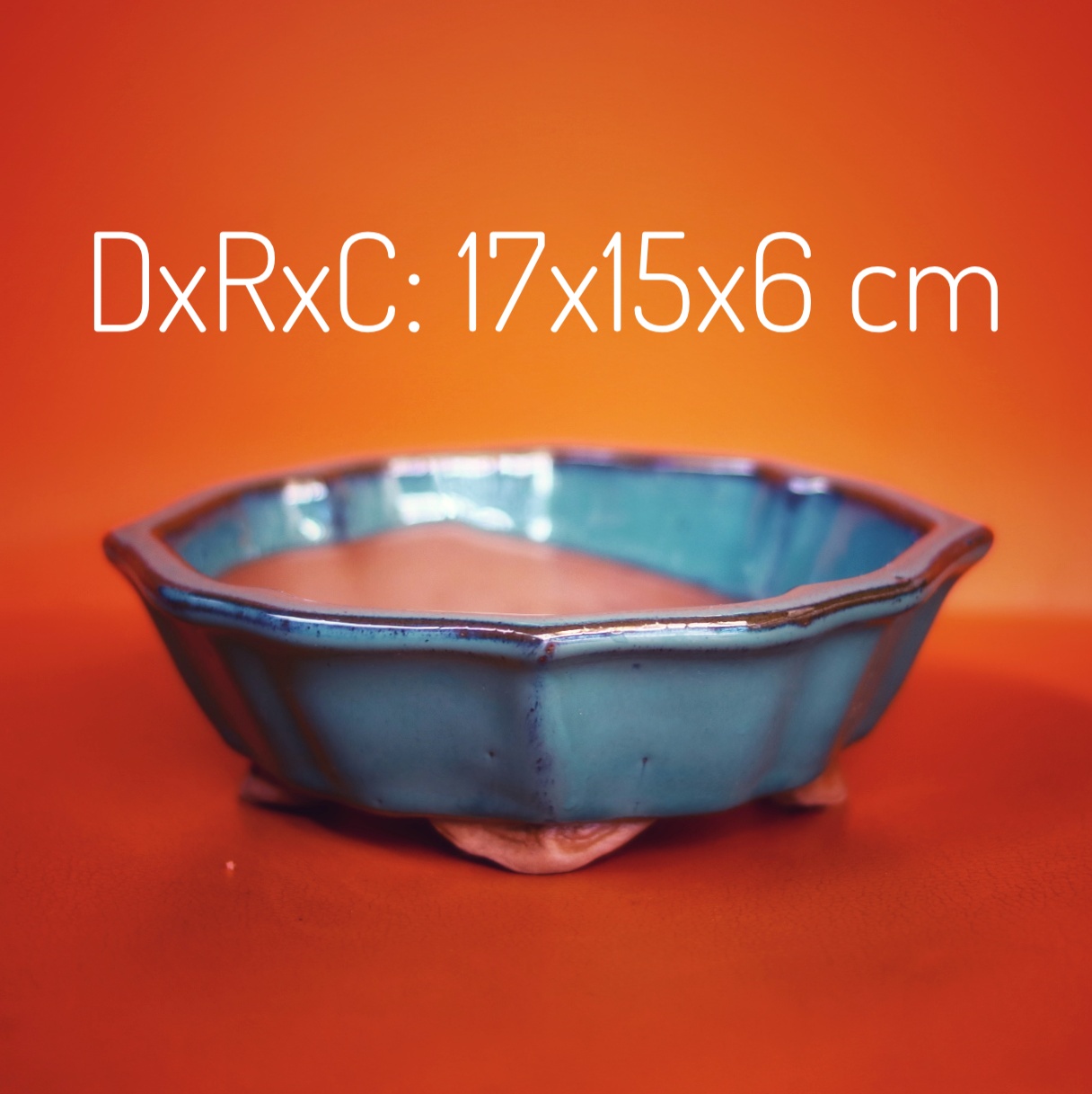 [HCM]Chậu Sứ Trồng Cây Cảnh Để Bàn Cây Bonsai Cây ăn trái Hình Chiếc Lá