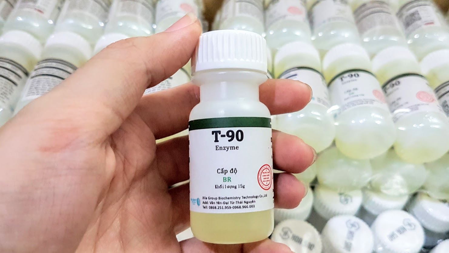 Enzyme t90 siêu kích mầm.