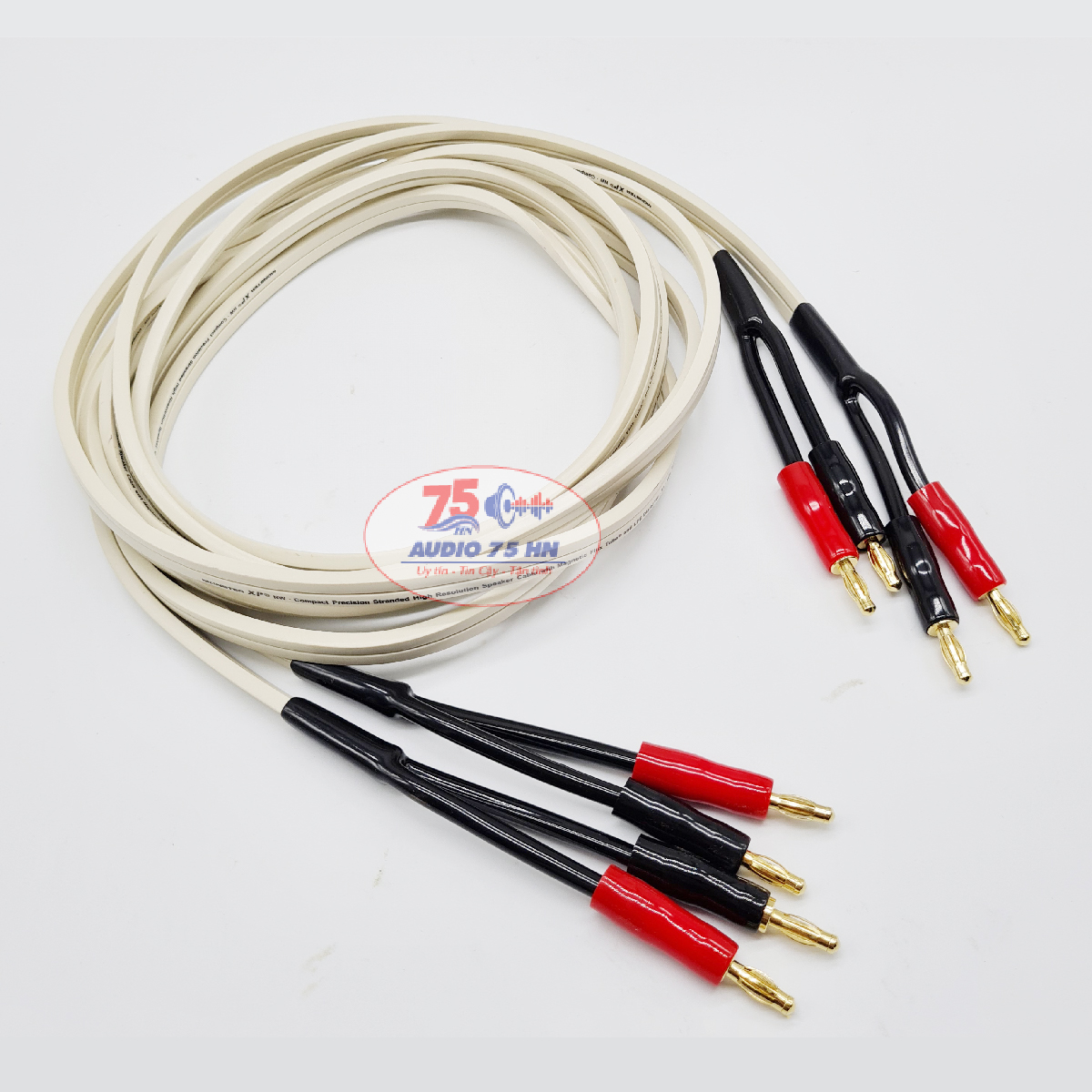 Cặp dây loa Monster XP Dây màu trắng 2 lõi 240 sợi 2 lõi 1.5mm đồng nguyên chất- 2 đầu bắp chuối