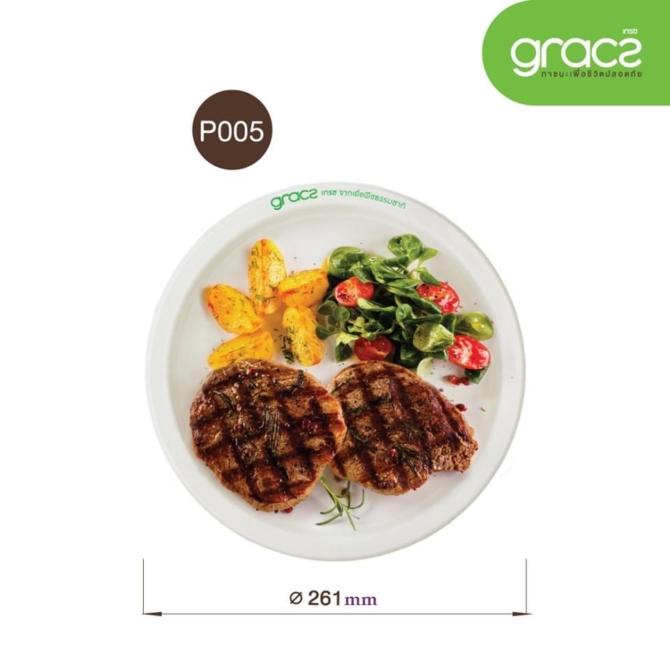 50 đĩa tròn bã mía thái lan 10 inch ~26cm - thương hiệu gracz