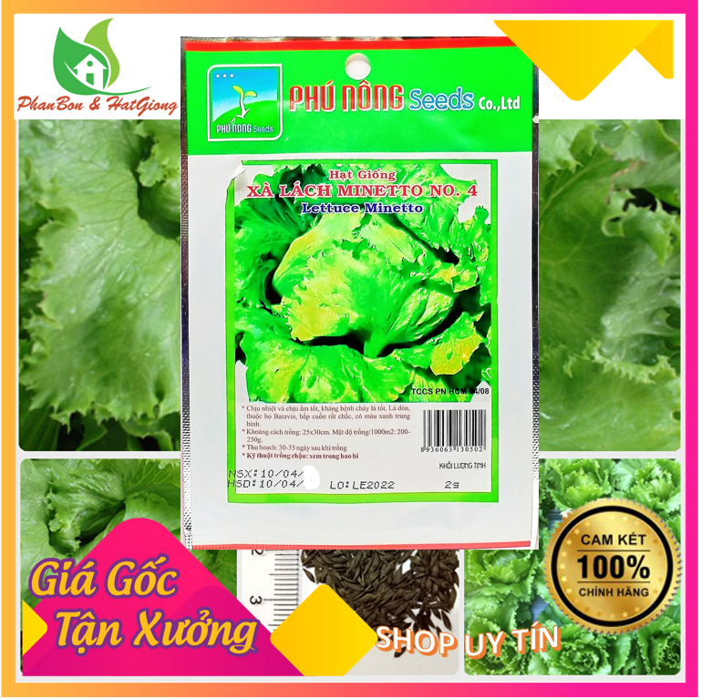 Hạt Giống Rau Xà Lách Minetto Chất Lượng - Phú Nông Seeds  | Shop Phân Bón, Hạt Giống Rau Củ Quả, Xơ Dừa, Mùn Dừa, Đất Sạch Trồng Rau Sạch Tp. Hồ Chí Minh