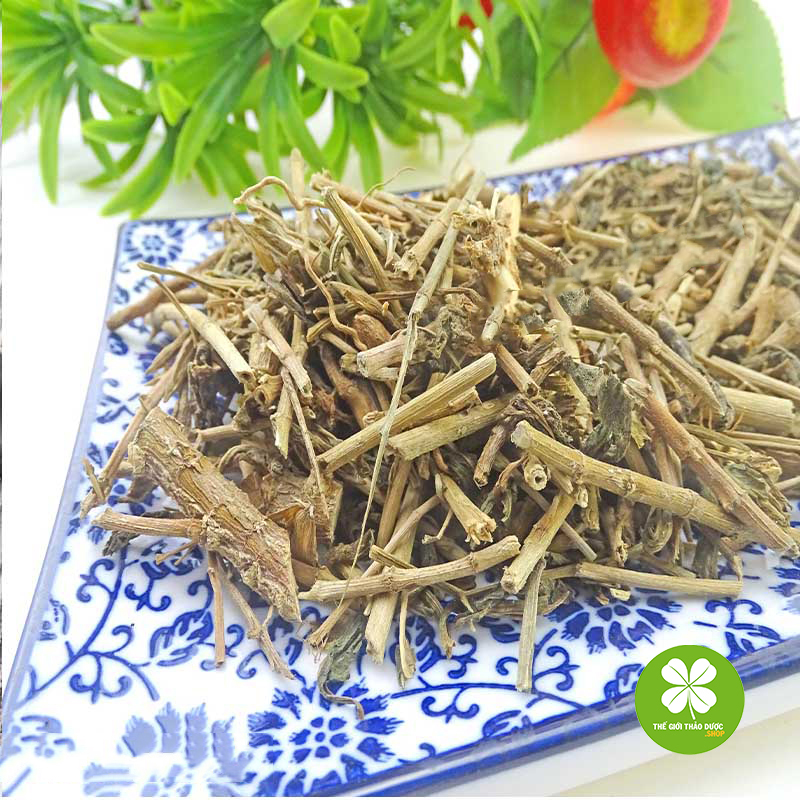 Cây dừa cạn khô - td196