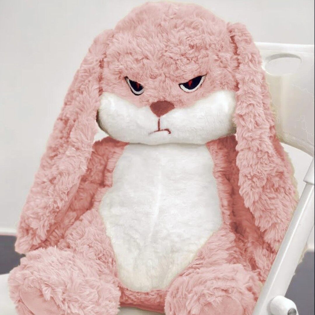 Gấu Bông Thỏ Mặt quạo, Thỏ giận dỗi đáng yêu, Thỏ Bông Tai Dài Cute Chất liệu Lông Hoa Hồng Cao Cấp