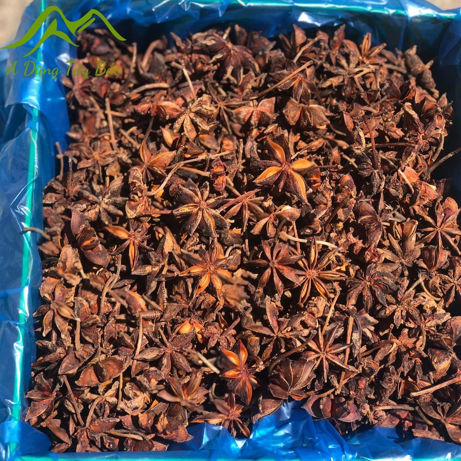 Hoa hồi khô Lạng Sơn loại 1 1kg. Gia vị nấu phở hoa hồi thảo quả quế chi