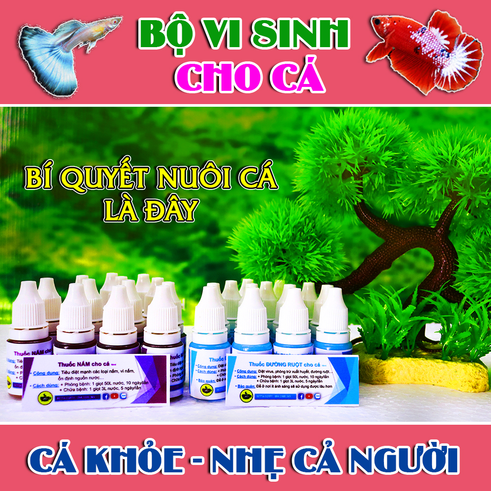 Đường Ruột + Nấm - Hỗ trợ giảm túm lắc tiêu hóa cho hồ cá nhỏ betta guppy