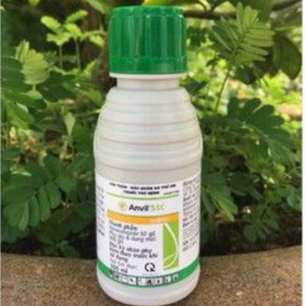 Anvil 5sc -100ml. Trừ nấm hồng, rỉ sắt, thán thư trên hoa hồng, cây kiểng.