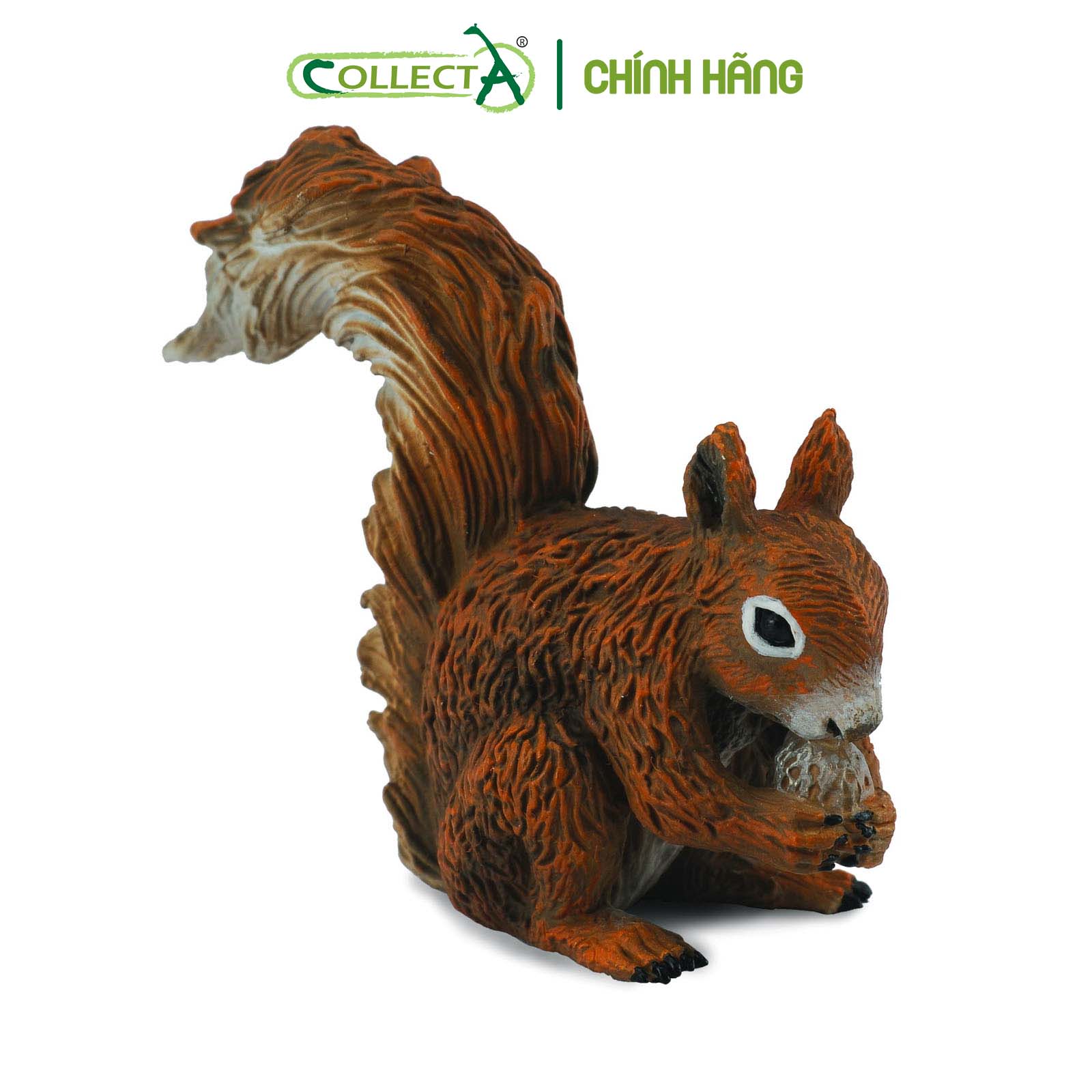 Đồ chơi mô hình động vật CollectA Sóc - Red Squirrel - Eating