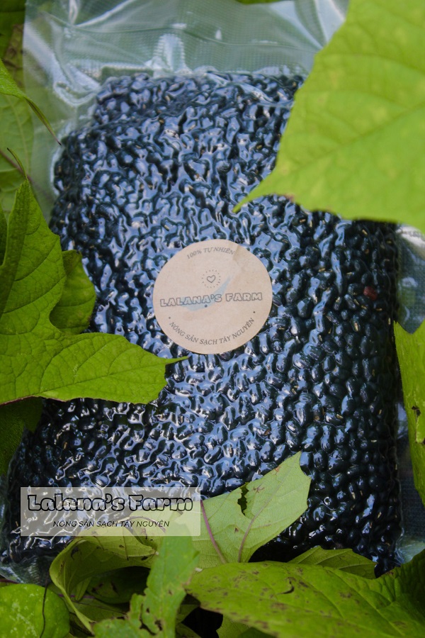 Đậu Đen Xanh Lòng Thuần Chủng - Đậu Sạch, Giống thuần chủng, Không biến đổi Gen - Lalana's Farm Nông Sản Sạch Tây Nguyên