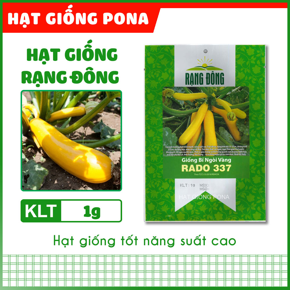 Hạt giống bí ngòi vàng rado 337 - hạt giống rạng đông