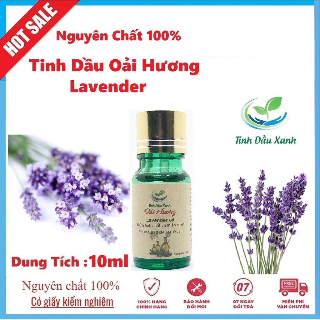 Tinh dầu Oải Hương xông thơm phòng Green Essential Oil 10ml -Hương Lavender