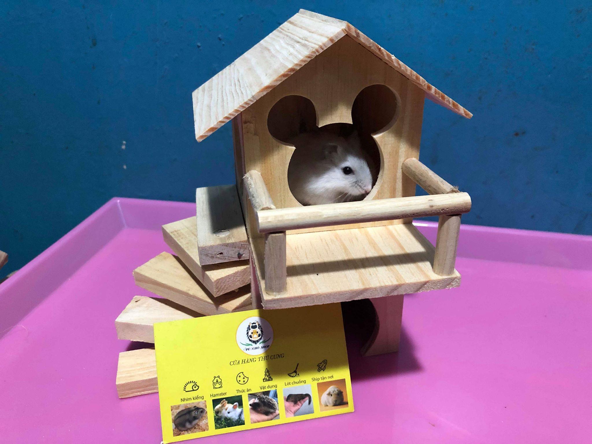 [HCM]Nhà Lầu thang Xoắn cho hamster hoặc trưng bày .