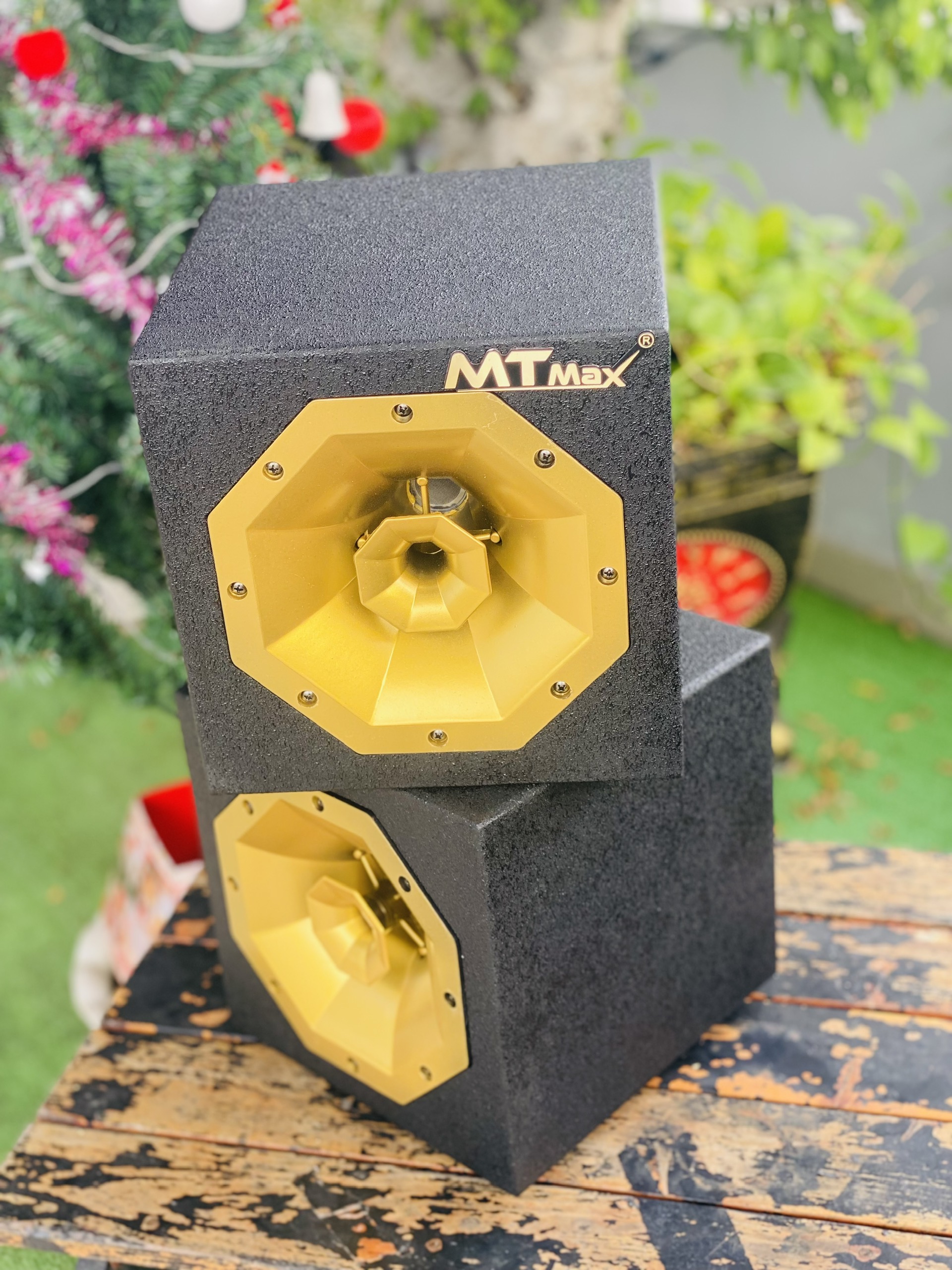 1 Cặp Treble Rời – Dùng để thay treble cũ bị yếu, rè, mất tiếng