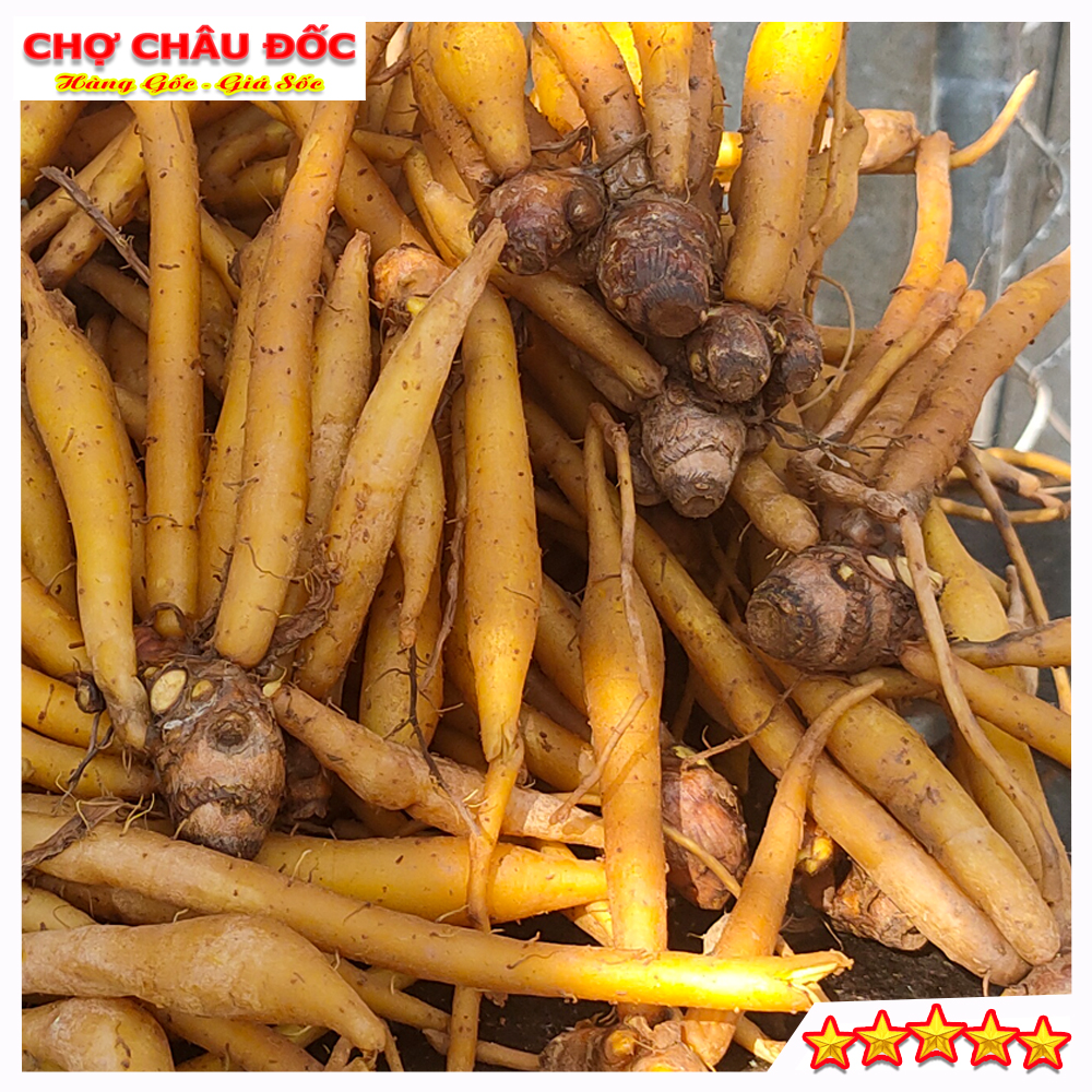 500gr Củ Ngãi Bún Châu Đốc Dùng Nấu Bún Mắm Lẩu Mắm Bún Cá Bún Nước Lèo Bún Bò Hóc