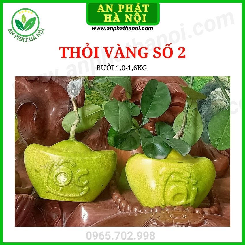 20 khuôn bưởi thỏi vàng số 2 cho bưởi 1,0-1,6kg - khuôn tạo hình trái cây in chữ tài lộc sắc nét, dày đến 4 li an phát hà nội