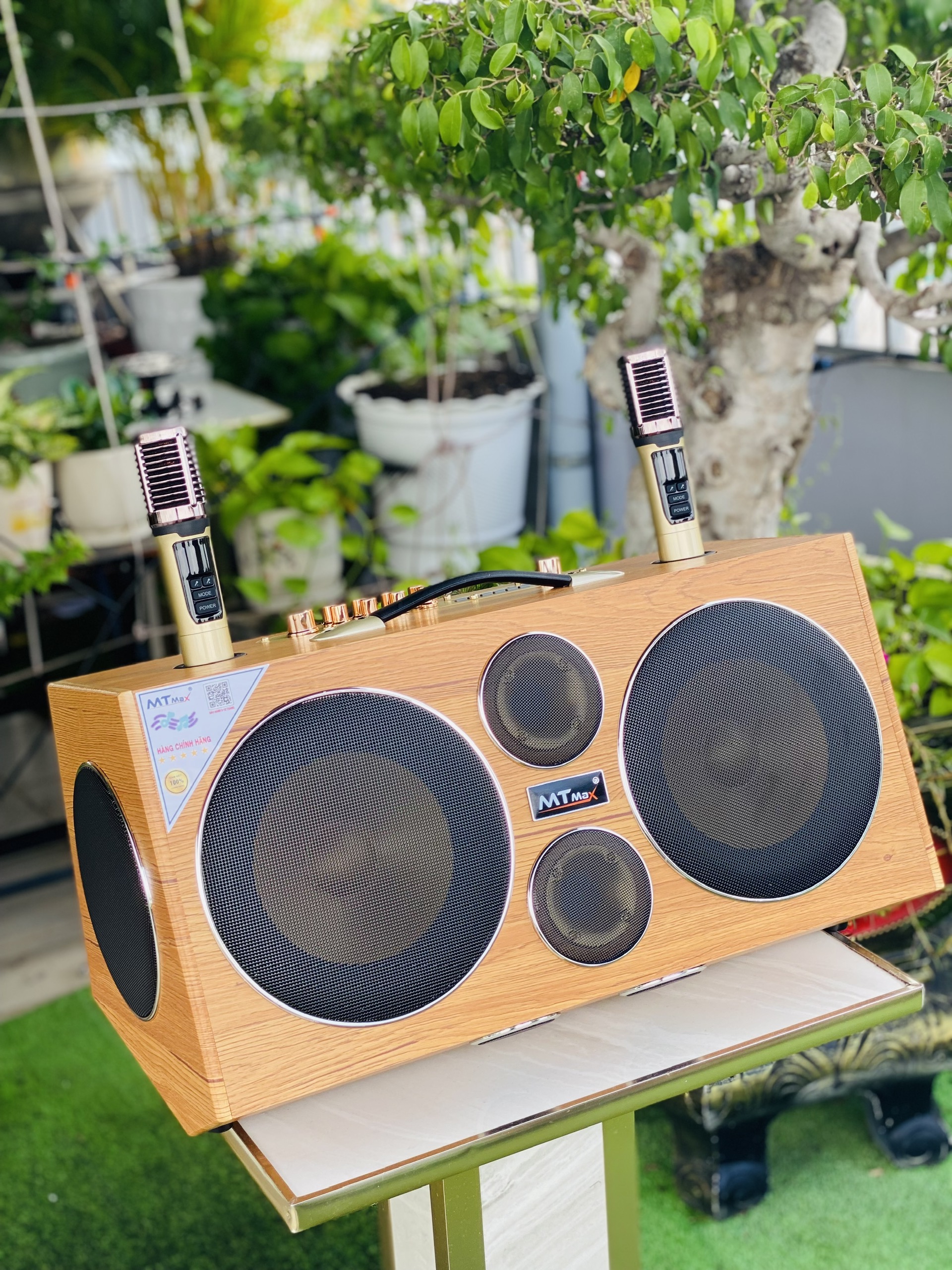   Tặng micro không dây   Loa xách tay karaoke S9 Pro công suất 550W – Bass đôi 25cm – Kết nối Bluetooth – Âm thanh mạnh mẽ cho sự kiện karaoke gia đình 