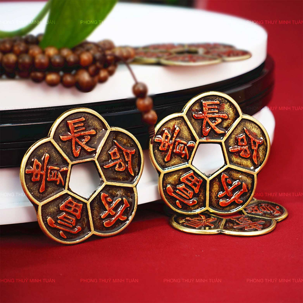 Combo 5 đồng xu hoa mai