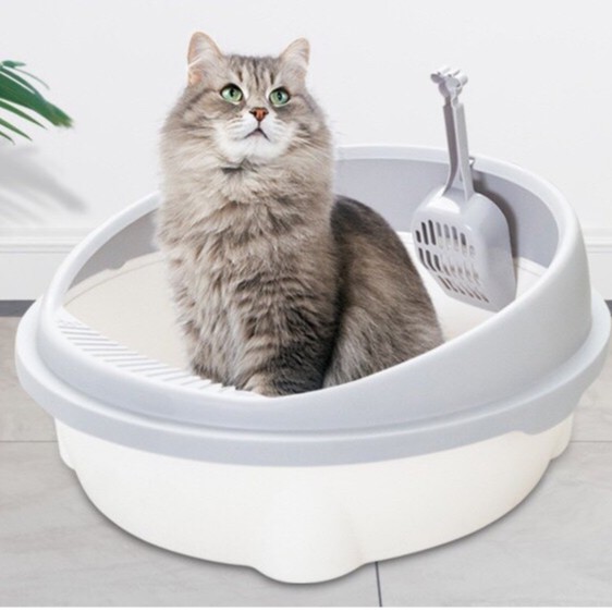 khay vệ sinh cho mèo, Nhà vệ sinh cho mèo tặng kèm xẻng cao cấp