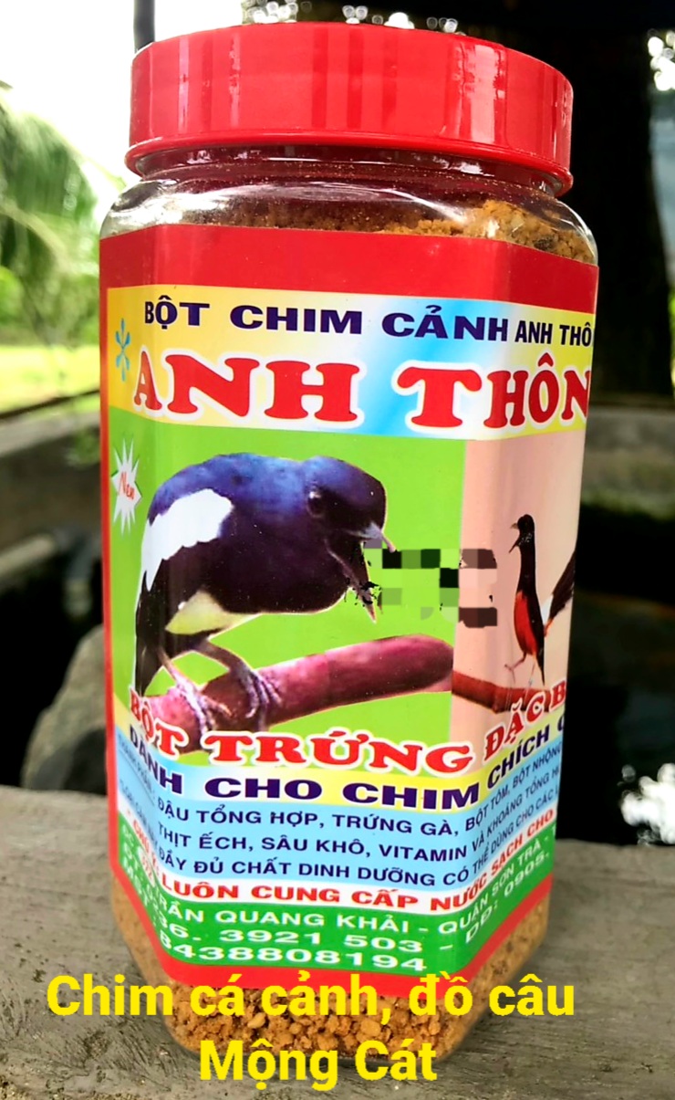 Cám chim chích chòe Anh Thông 500g