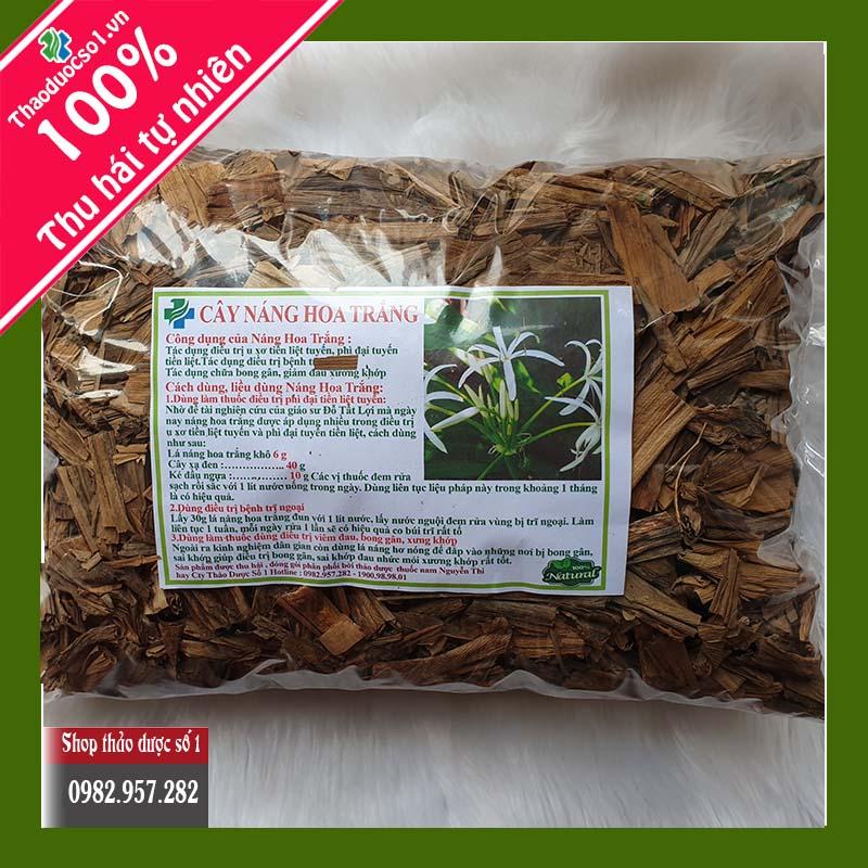 Cây náng hoa trắng giải pháp mới hỗ trợ điều trị u xơ tiền liệt tuyến -1kg khô SP CTY Thảo Dược Số 1