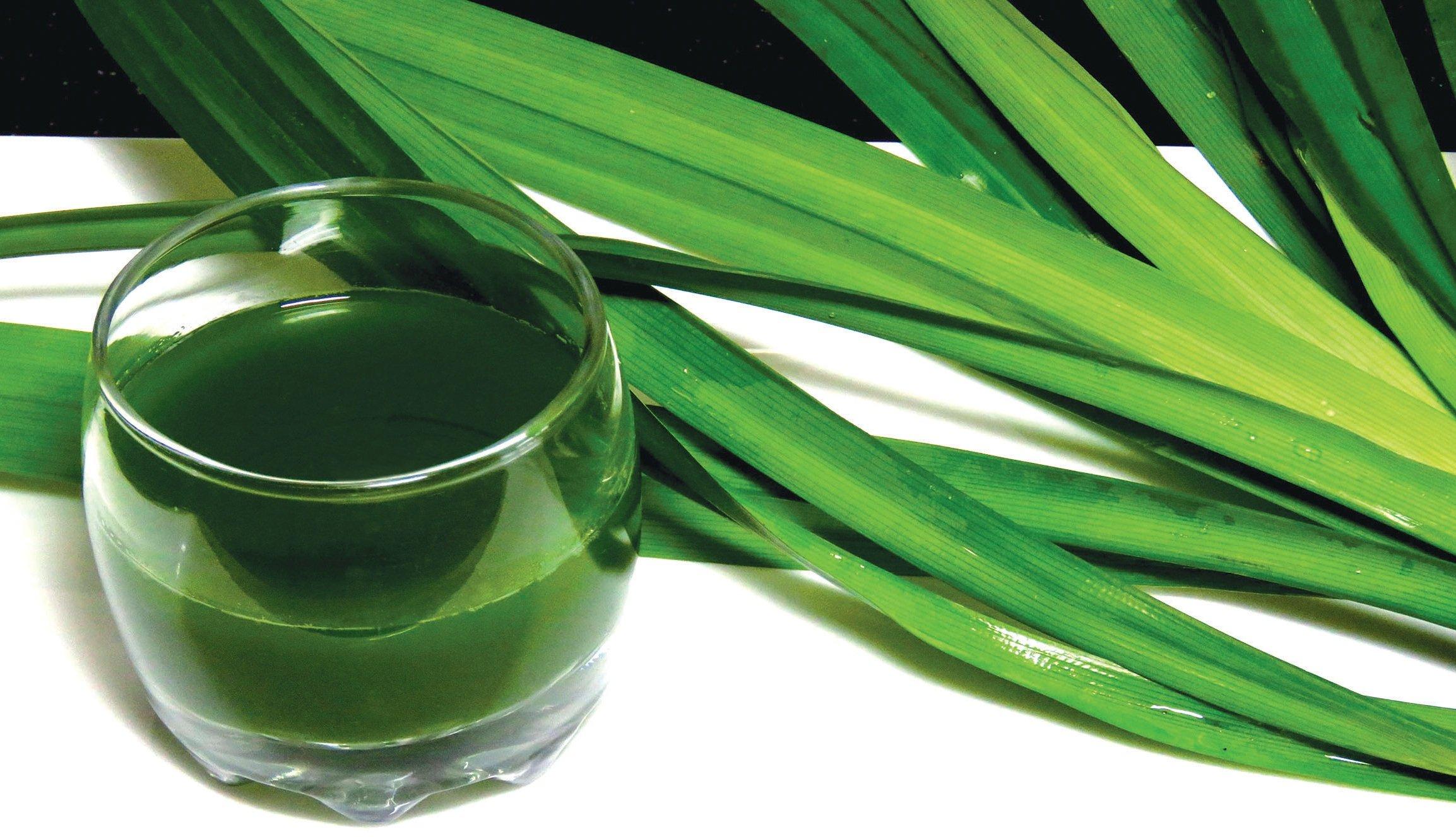 HƯƠNG LÁ DỨA 90ml