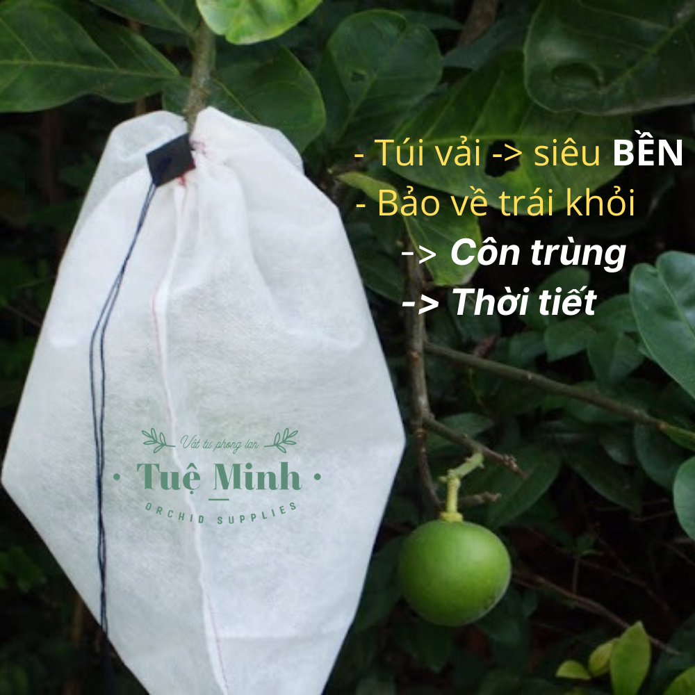 100 Túi Vải Bọc Trái Cây Có Kèm Dây Rút Cỡ 18x19cm Bảo Vệ Trái Cây Như Cam, Na, Ổi...