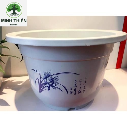 Chậu nhựa hoa văn 36cm*24cm