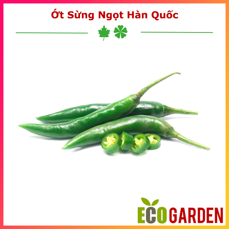 Hạt giống ớt sừng ngọt hàn quốc trái dài