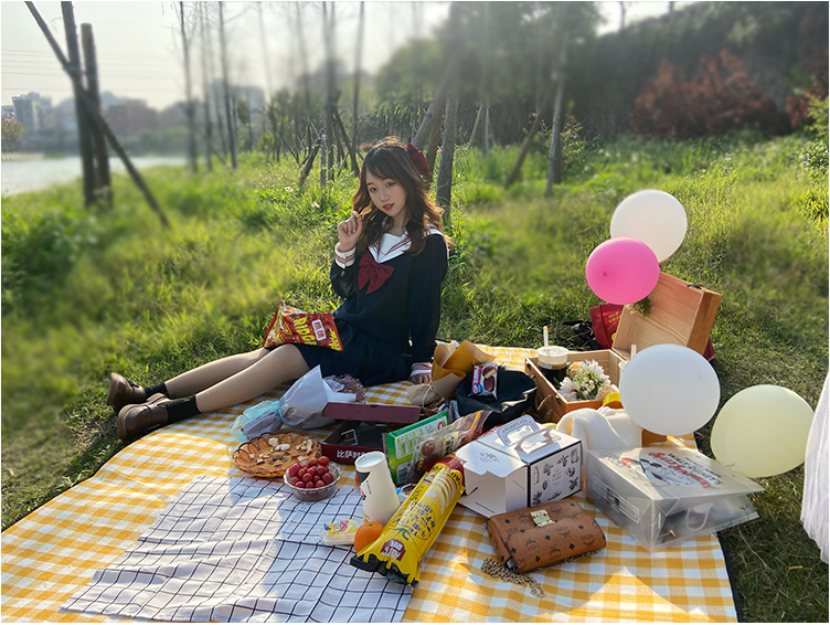 Thảm đi dã ngoại, Picnic Hàn Quốc