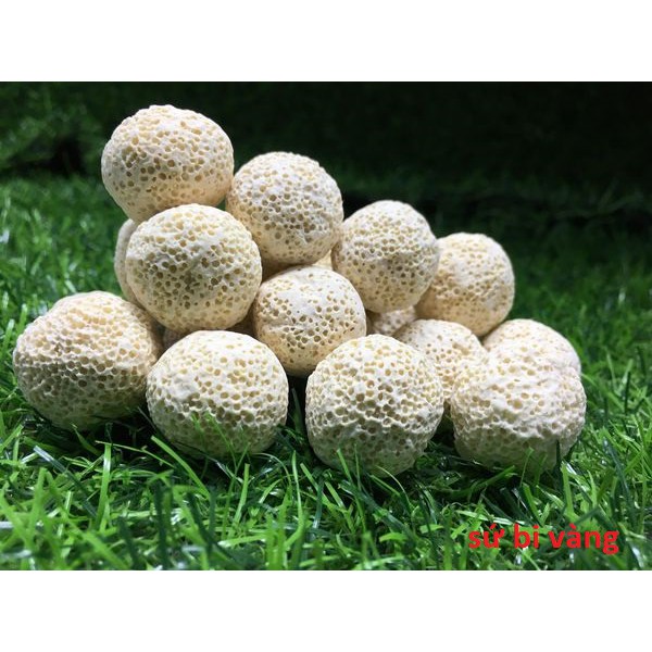 [HOÀN TIỀN 10%]Sứ bi vàng 1kg ( vật liệu lọc cho bể cá )