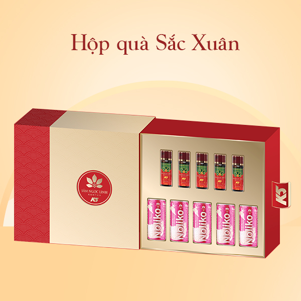Hộp quà sắc xuân - sâm ngọc linh kon tum k5