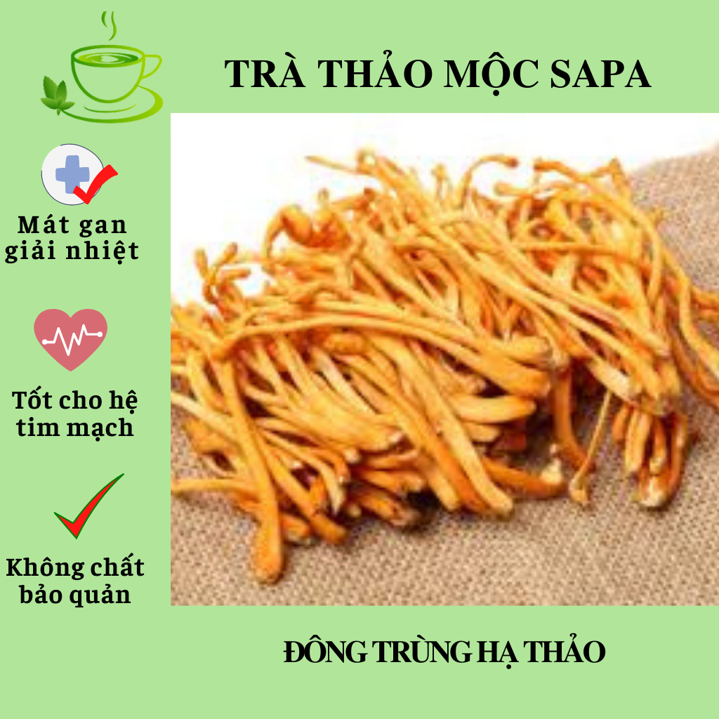 Đông trùng hạ thảo, trà đông trùng hạ thảo khô, tăng tốc tâm sinh lý Trà Thảo mộc sapa 1kg