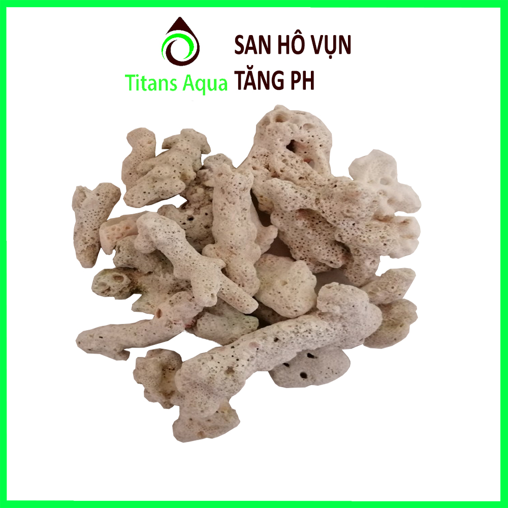 1kg san hô vụn - vật liệu lọc hồ cá