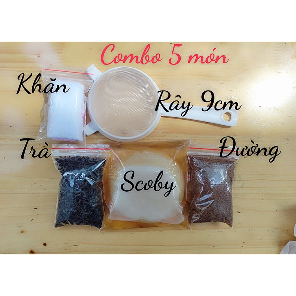 Combo 5 món nuôi scoby/kombucha không thể thiếu