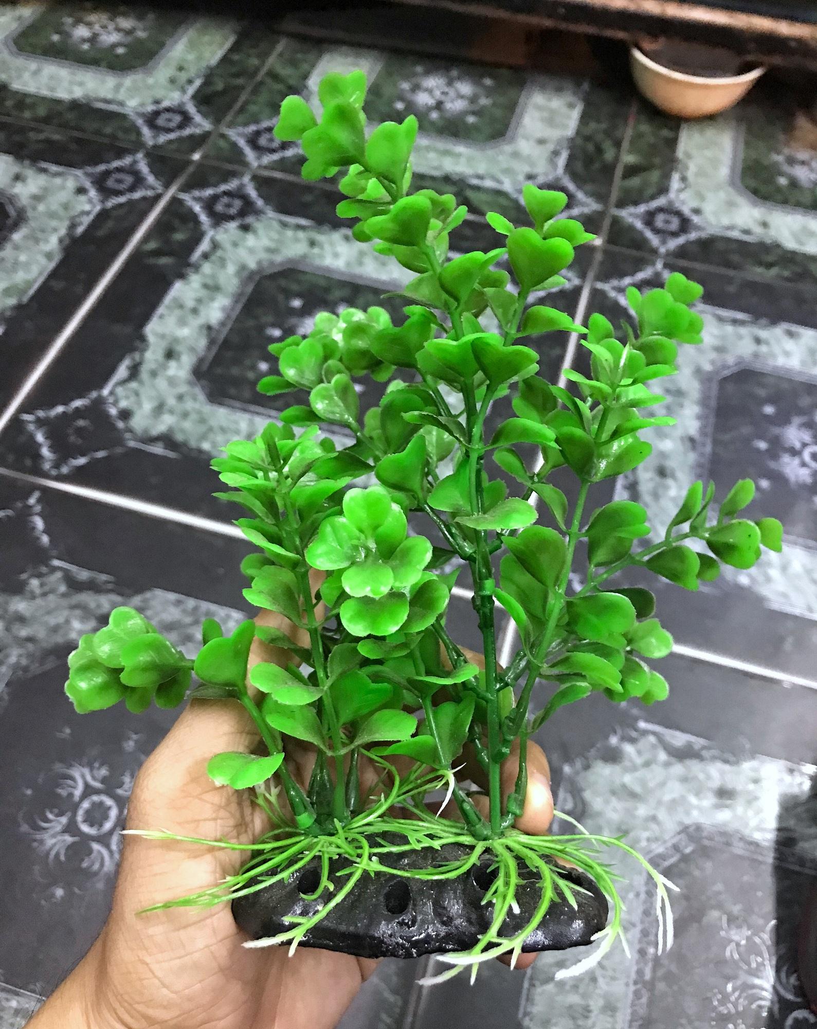 "hoàn tiền đến 10%" rong giả trang trí hồ cá non bộ