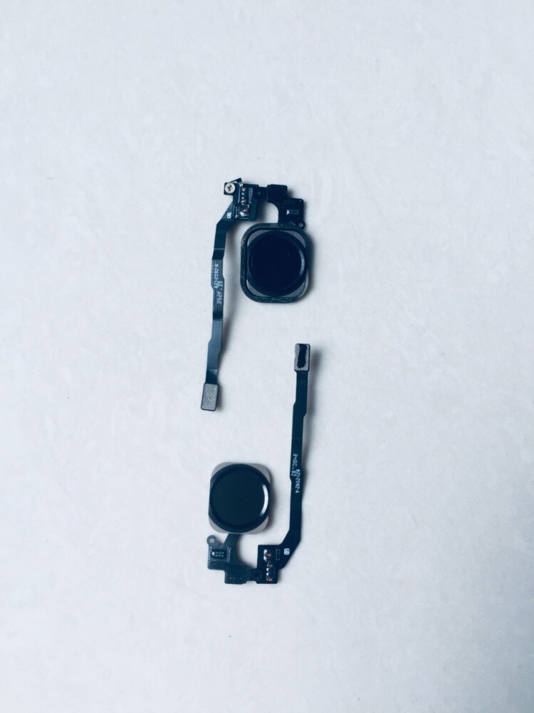 Đệm nút home iphone 5S